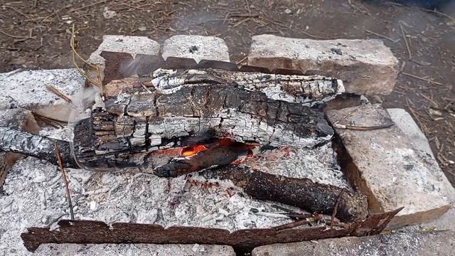 Вечерний костёр