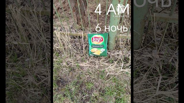 пять ночей с чипсами 6-я ночь