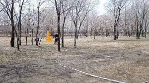 8 Отл. АМАРОК из Белого Яра +++ №11. КОМСОМОЛЬСК-НА-АМУРЕ 26 апреля`26 Моно немецких овчарок