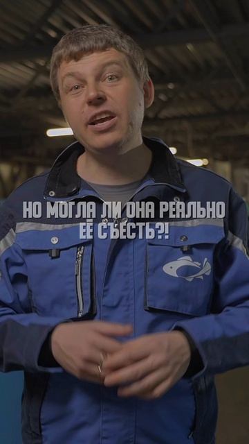 Белуга чуть не съела аниматора на детском шоу но девушка цела  проглотила только очки.