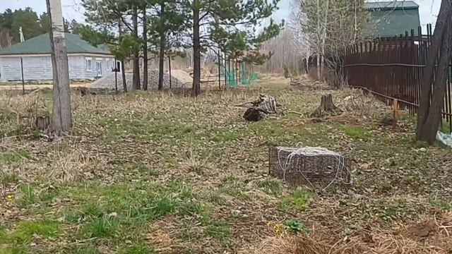 Новости в хозяйстве/ Погода на Урале/ Закупили гигиену.