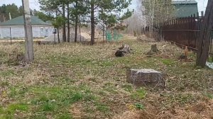 Новости в хозяйстве/ Погода на Урале/ Закупили гигиену.