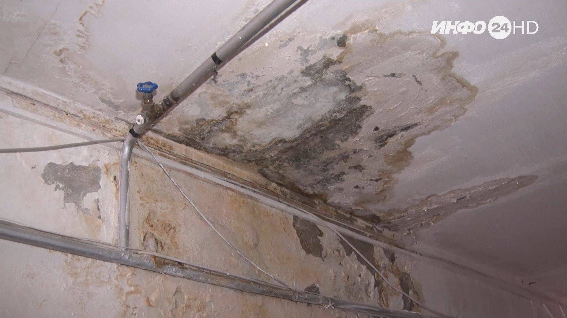 НА ГРАНИ: Улица Володарского дом 49