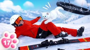 Кефир на горнолыжном курорте! Котёнок отправился исследовать детскую площадку