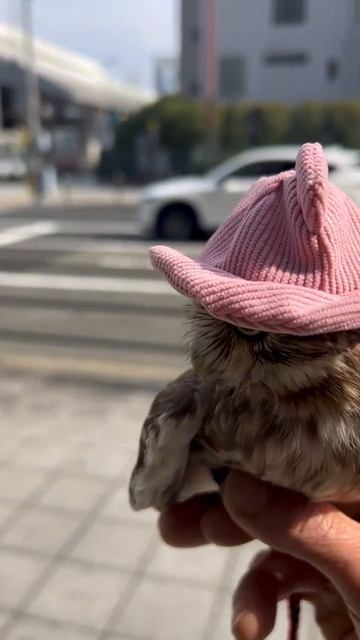 video_2026-04-29_20-12-11