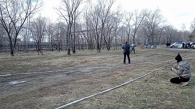 2 Отл. Улэн Диа ВЕНТРУ №30. КОМСОМОЛЬСК-НА-АМУРЕ 26 апреля`26 Моно немецких овчарок