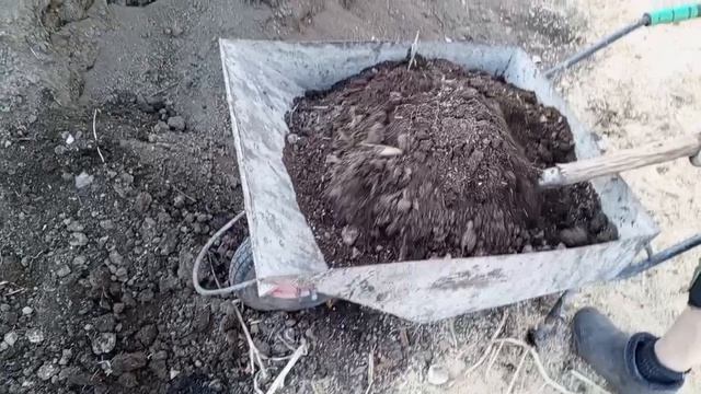 дела домашние 29 апреля