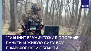 «Гиацинт-Б» уничтожил опорные пункты и живую силу ВСУ в Харьковской области