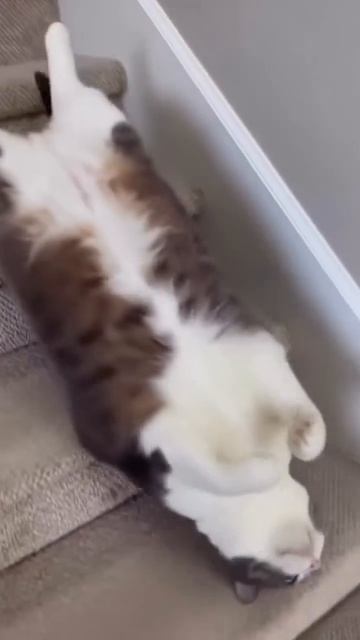 Как рабочая неделя? Нет сил стресс апатия? Знакомо 