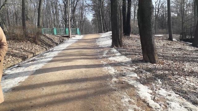 Санкт-Петербург. Снежная весна. Парк Лесотехнической Академии. Рядом с метро Лесная.