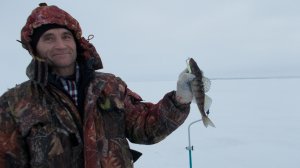 Сказка для взрослых. Мини Белое Безмолвие 2017г.