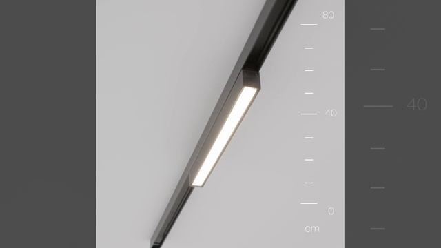 Светильник Maytoni Elasity IP O-TR02-1-S-24WB4K