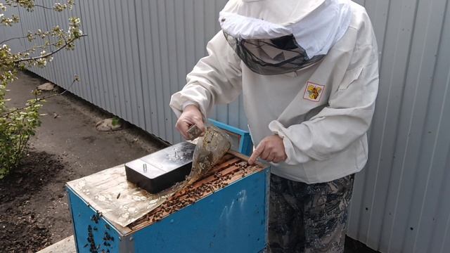 В чем моя ошибка?