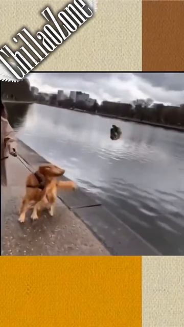 Опасный трюк