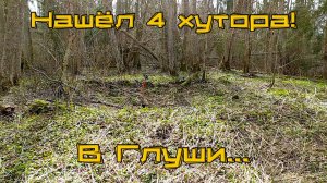 Разведка хуторов. Нашел монеты, но не там.