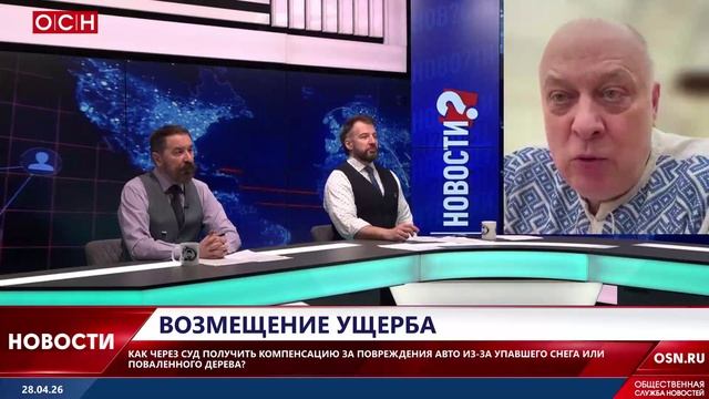 Как через суд получить компенсацию за поврежденное авто из-за упавшего дерева?