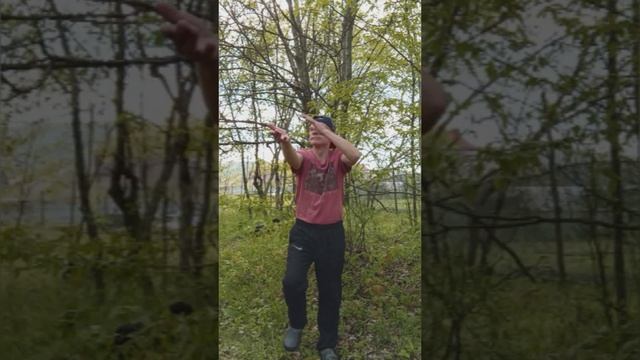 Открыл для себя лимфодренажную гимнастику.