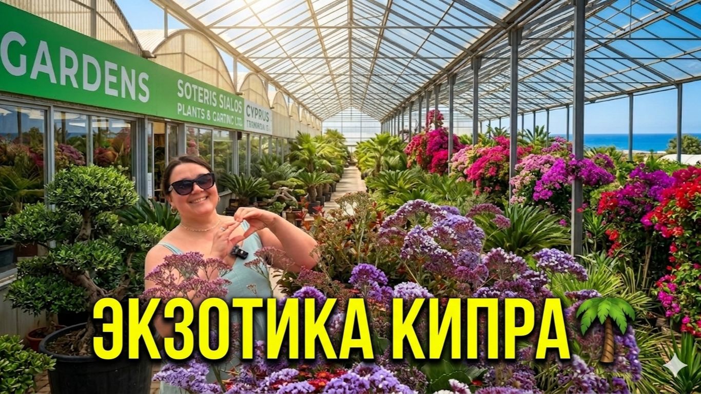 🌷Цветочный РАЙ на Кипре! 🌴 Гуляем по ОГРОМНОМУ садовому центру / Цены и экзотика