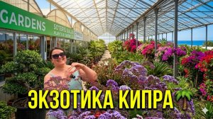 🌷Цветочный РАЙ на Кипре! 🌴 Гуляем по ОГРОМНОМУ садовому центру / Цены и экзотика