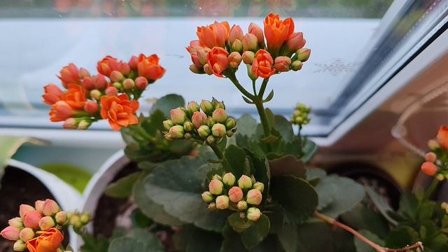 уют в деревне