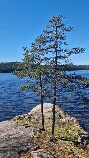 Ладожское озеро. Карелия