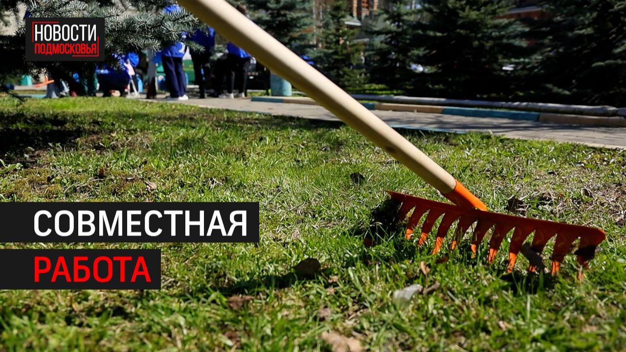 Всероссийский субботник прошёл в Химках // 360 ХИМКИ