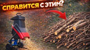 ИЗМЕЛЬЧИТЕЛЬ ВЕТОК ЗА 10 000 ₽. Что он реально может?
