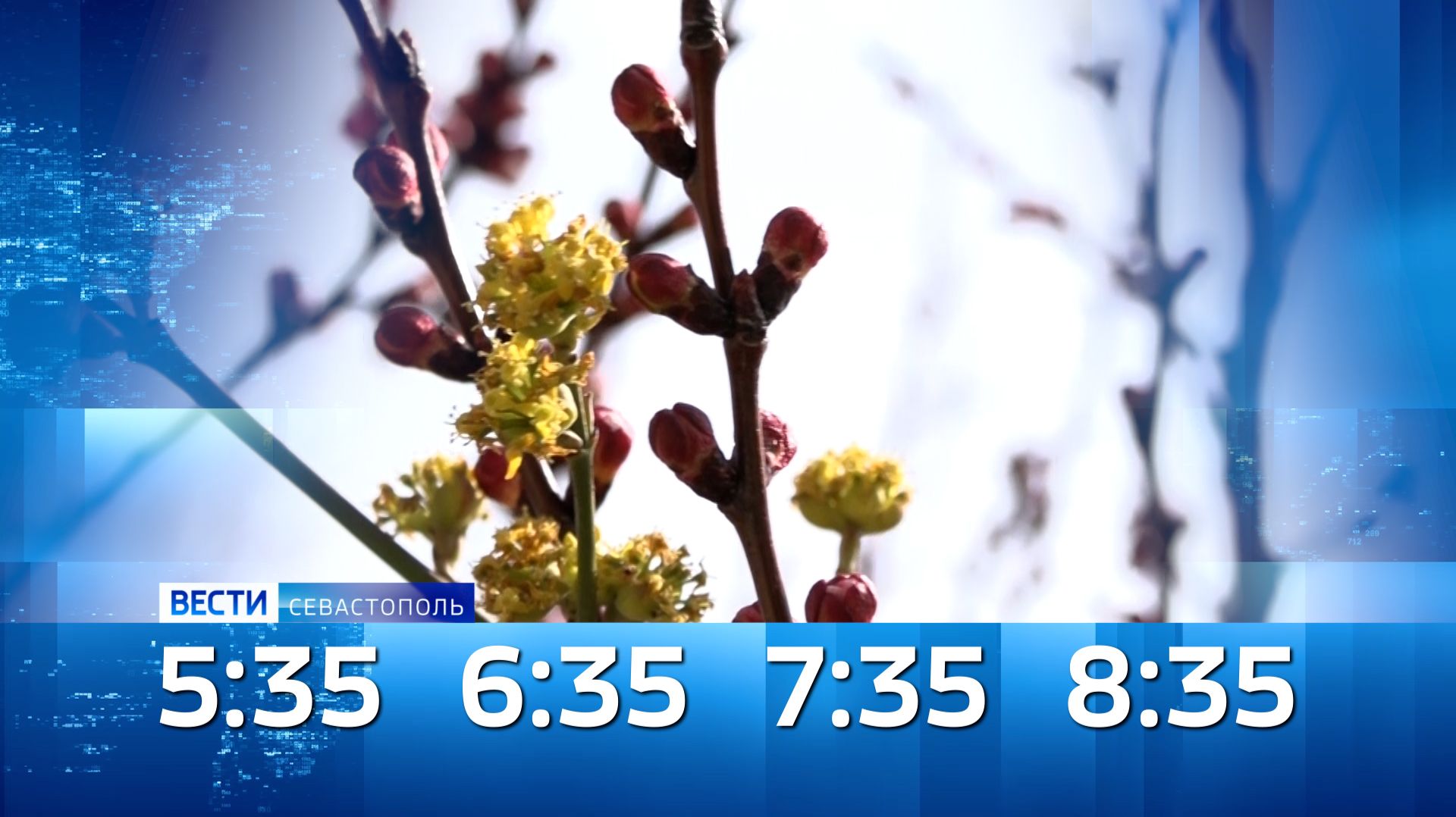 «Вести Севастополь» УТРО 30 апреля 2026 года