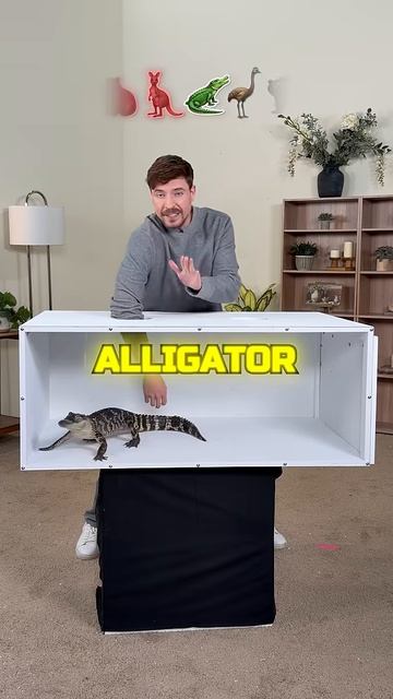 Угадай животное