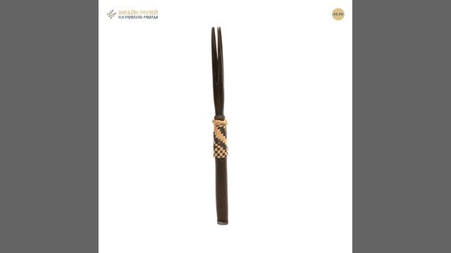 Вилочка каннибала (Фиджи)