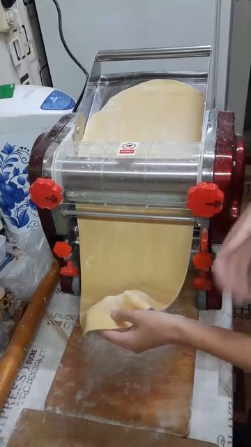 Раскатка теста дома Hopert PRO RSS-240M