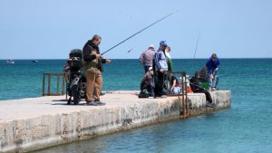 В Севастополе начался активный лов кефали