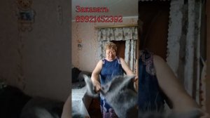 28 апреля 2026 г Пуховые платки и не только...Заказать 89921452392