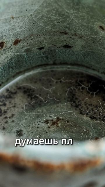 Видео от Помощник Хозяйки