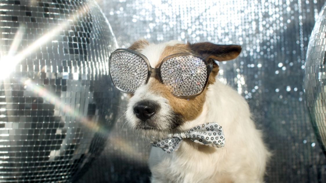 БРОДЯГА - День Пельмень