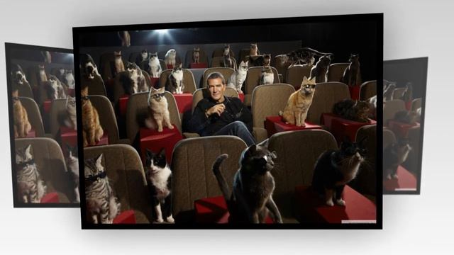 12. В кинотеатре (Сергей Баландин)