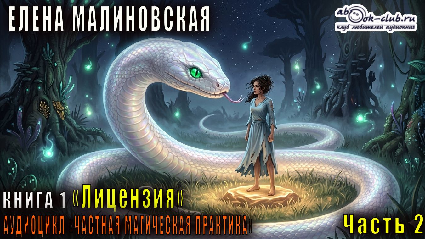 Елена Малиновская "Частная магическая практика" (книга 1) "Лицензия" (часть 2)