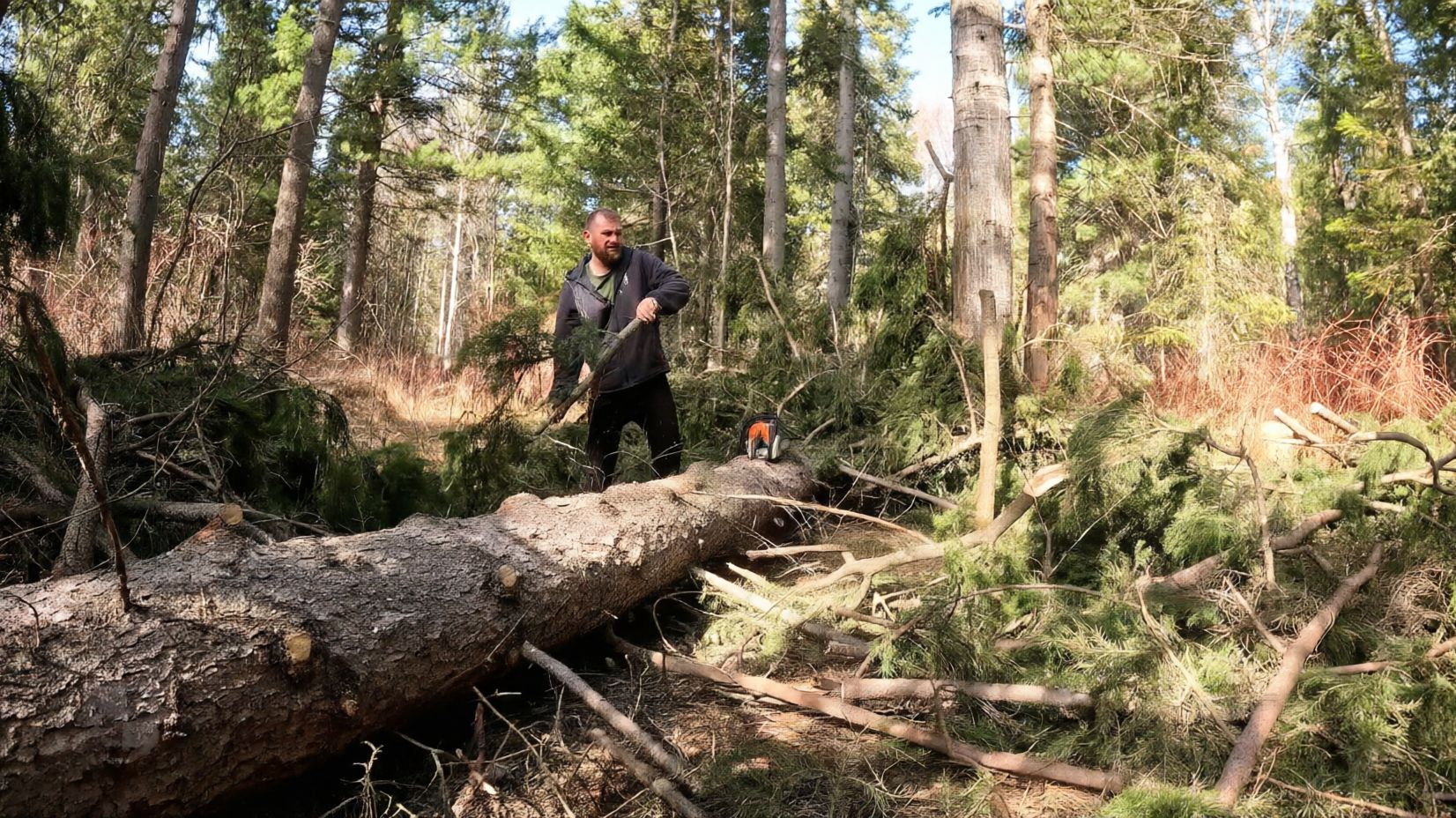Завалило лес вокруг избы. Открытие весенней охоты.