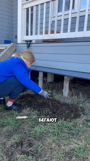 Семейный отдых за копейки