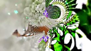 С Днём Рождения!!! Весенний вальс цветов 2!!!