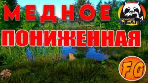 МЕДНОЕ  КЛЕВ в ПОНИЖЕННУЮ. Русская рыбалка 4. рр4. Russian Fishing 4. #russianfishing4fungames