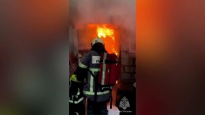 Около 200 собак погибли во время пожара у заводчика в Нижнем Новгороде.