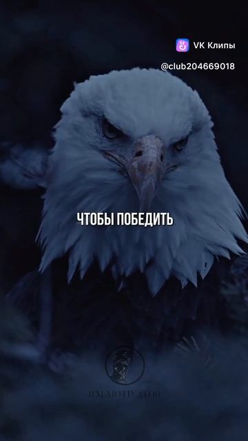 мужчина непобедим