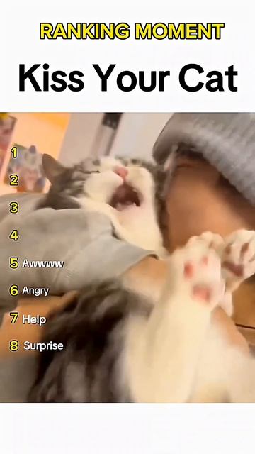 Поцелуй свою кошку 