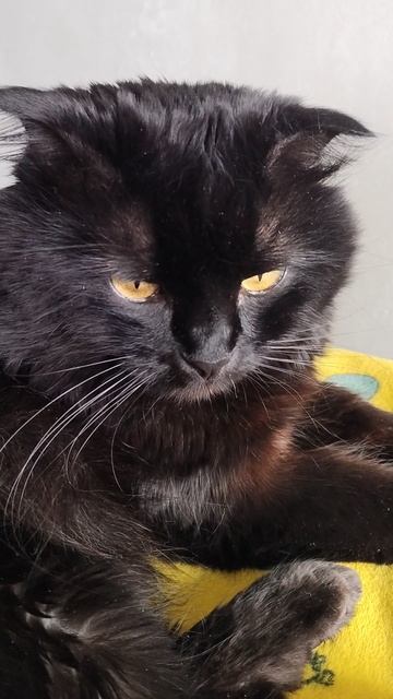 торшер с дырками