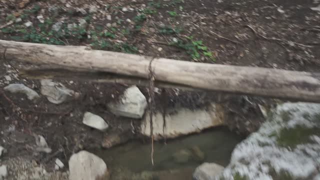 Исток ручья Ти-дере