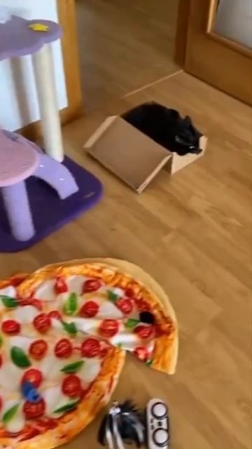 Можно было и не покупать