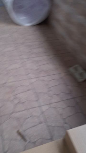 Мавик. Знакомства с новым местом🐕