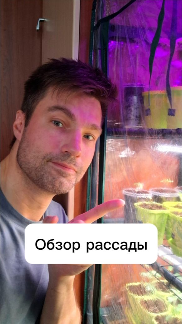 Обзор рассады  29.04.2026