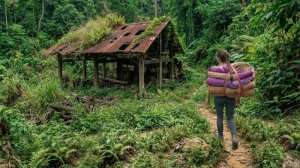 После развода девушка в одиночку строит дом с нуля и начинает новую жизнь. Жизнь во Вьетнаме